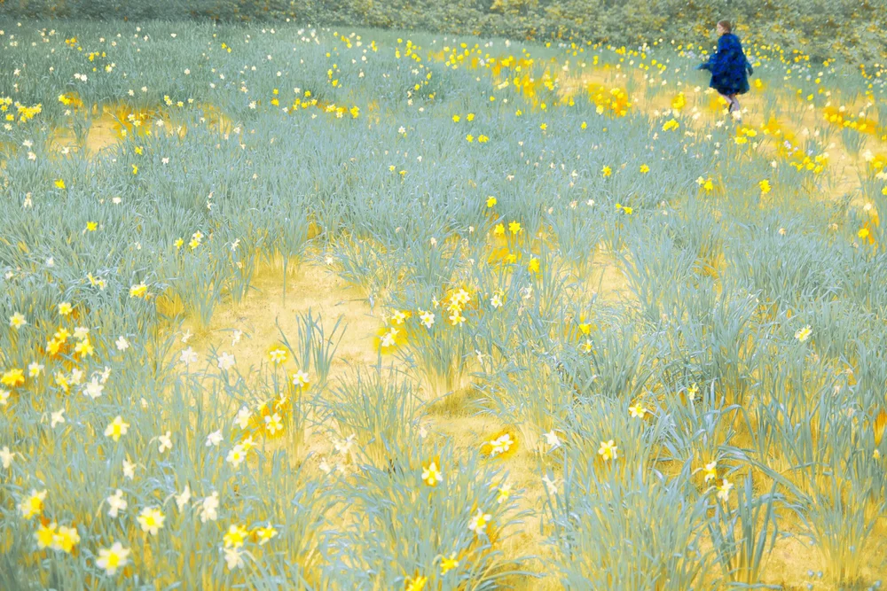 Book Review: The Tapestry by Erik Madigan Heck | Thames & Hudson